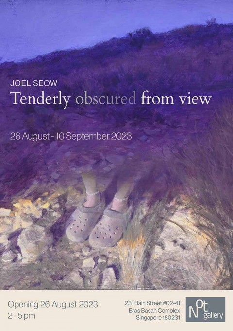 Joel Seow: Tenderly Obscured From View