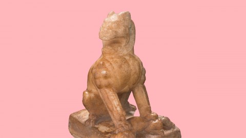 Let's Learn About…Marble!