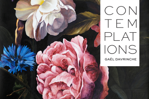 Gaël Davrinche: Contemplations 