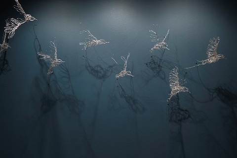 Aerial Symphony