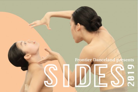 SIDES 2019
