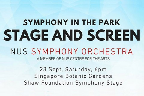 Symphony in the Park: Stage and Screen