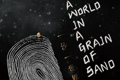 A World in a Grain of Sand