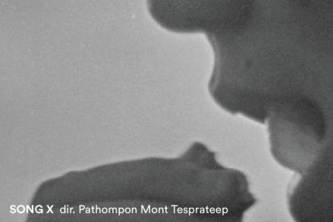 New Waves | Celluloid Dreamstate: Composing Memories Through Decay