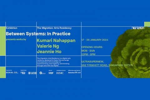 Between Systems: In Practice
