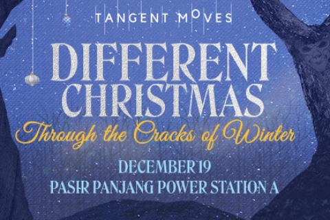 DIFFERENT CHRISTMAS: Through the Cracks of Winter