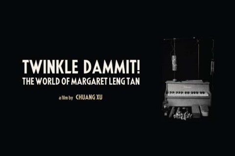 Twinkle Dammit!