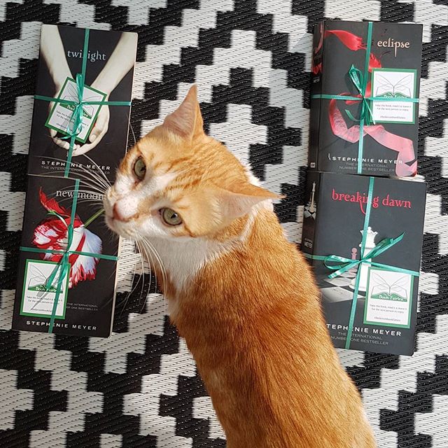 0 20170928 bookfairies cat2